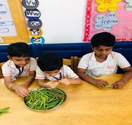 Experimental Learning